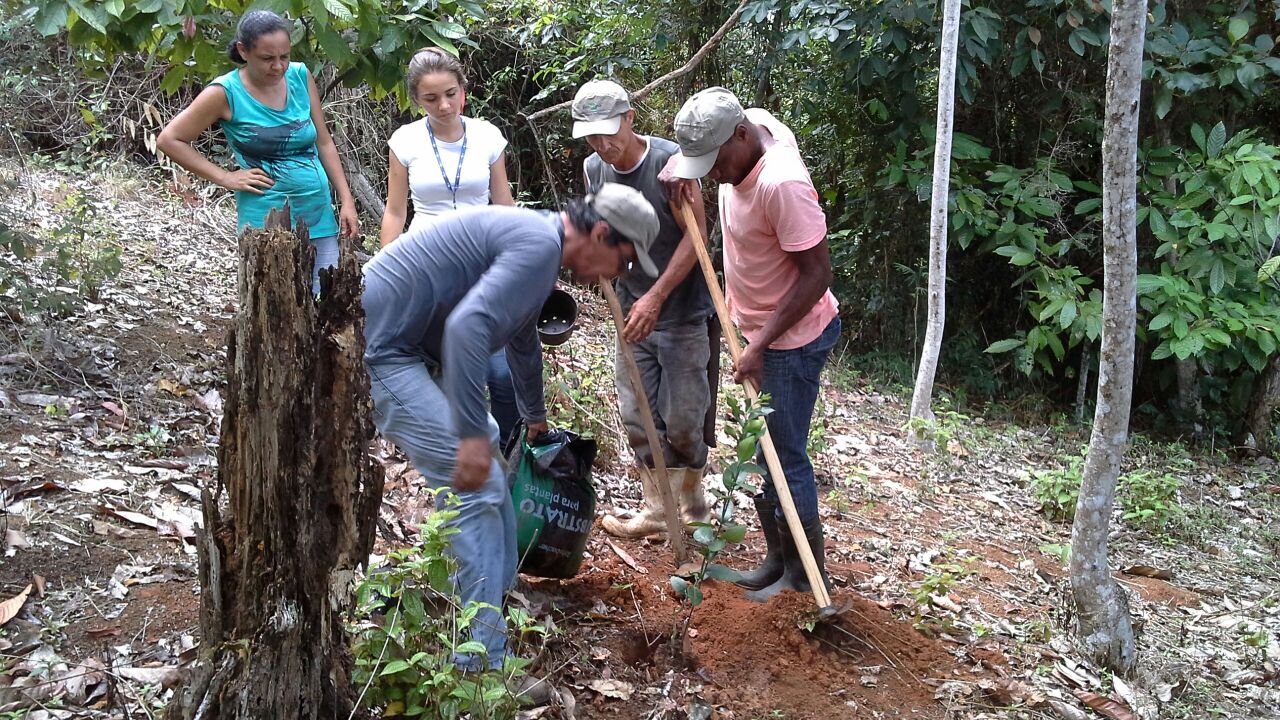 2_1_Inicio da implantaçao da unidade de aprendizagem(II) com participação de alunos, pesquisadores e agricultores familiares.jpg